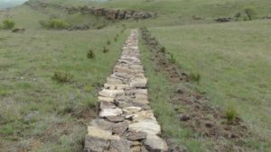 2011 года "Годом экологии" сотрудниками заповедника были насажены около 1000 новых саженцев вдоль 600 метровой туристической дороги, ведущей от "вершины Ильхама Алиева" в пещеры. 2011 года "Годом экологии" сотрудниками заповедника были насажены около 1000 новых саженцев вдоль 600 метровой туристической дороги, ведущей от "вершины Ильхама Алиева" в пещеры.