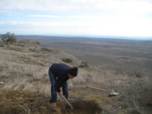 Сотрудники Государственного историко-культурного заповедника «Кешикчидаг» провели очистительные работы на 600-метровой туристической дороге по направлению пика имени Ильхама Алиева и посадили большое количество саженцев елей.