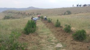 Продолжается работа на территории Государственного историко-культурного заповедника «Кешикчидаг».