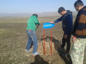 Знаки дорожной разметки