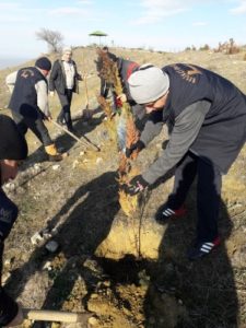 Кампания по посадке деревьев в заповеднике
