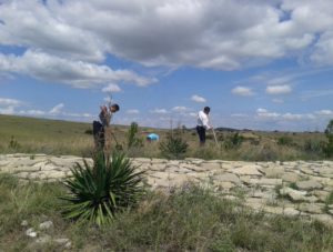 Ландшафтные работы в заповеднике