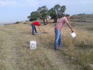 Ландшафтные работы в заповеднике