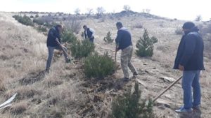 Очистительные работы в Заповеднике