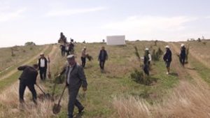 Создай природу этой весной.