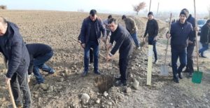 650-летний юбилей Имаддаддина Насими