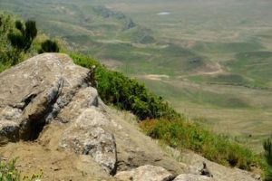 Животный мир заповедника… Животный мир заповедника…