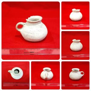 Из редких жемчужин заповедника...