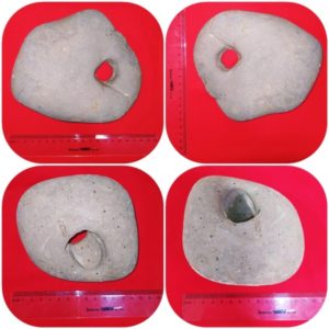 Из редких жемчужин нашего заповедника...