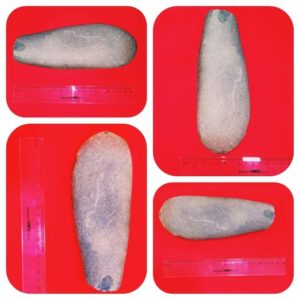 Из редких жемчужин нашего заповедника