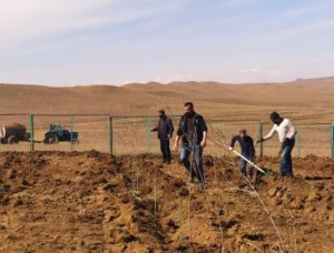 Проект под названием разведение «Миндального сада» в Кешикчидаге