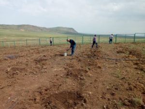 Проект под названием разведение «Миндального сада» в Кешикчидаге Проект под названием разведение «Миндального сада» в Кешикчидаге