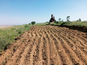 Строительство дороги в Кешикчидаг