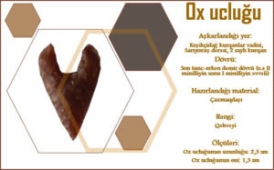 Из работ по паспортизации материальных и культурных образцов, обнаруженных в ходе проекта «Научно-археологические раскопки и летняя школа в Кешикчидаге»