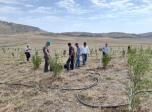 «Миндальный сад» «Миндальный сад»