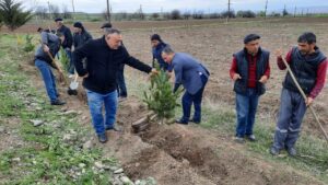 In connection with the declaration of 2024 as the "Year of Solidarity for the Green World" in our country, a tree-planting action was held at the entrance of the village of Zalimkhan as part of district-wide events.