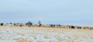 Month constitute one of the most ancient and culturally rich stages of the Azerbaijani folk calendar, symbolizing the severity of winter, the cyclical transformation of nature, and the gradual transition toward spring. Month constitute one of the most ancient and culturally rich stages of the Azerbaijani folk calendar, symbolizing the severity of winter, the cyclical transformation of nature, and the gradual transition toward spring.