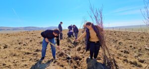 Azərbaycanda 2026-cı ilin “Şəhərsalma və Memarlıq İli” elan edilməsi çərçivəsində “Keşikçidağ” Dövlət tarix-mədəniyyət qoruğunun ərazisində yerləşən “Dostluq bağı”nda ağacəkmə aksiyası keçirilmişdir. Azərbaycanda 2026-cı ilin “Şəhərsalma və Memarlıq İli” elan edilməsi çərçivəsində “Keşikçidağ” Dövlət tarix-mədəniyyət qoruğunun ərazisində yerləşən “Dostluq bağı”nda ağacəkmə aksiyası keçirilmişdir.